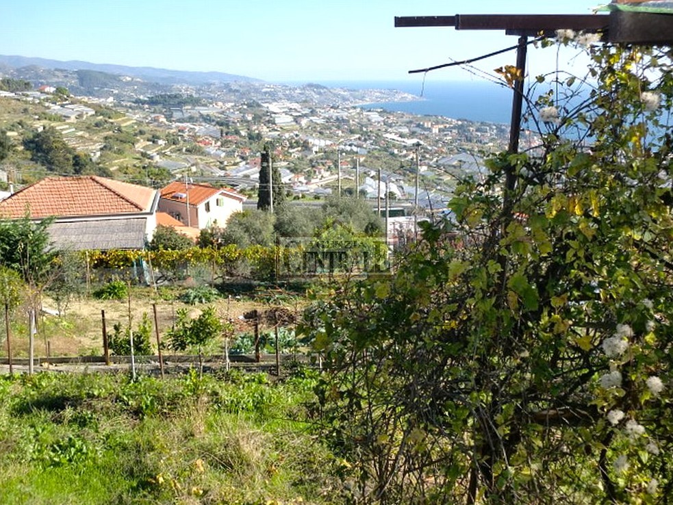 Agenzia Immobiliare Centrale Sanremo